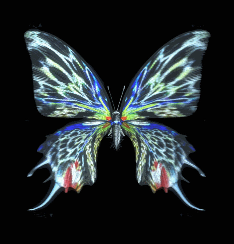 Virtual Butterfly, Chinese digital art